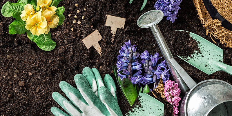 Auf feiner Erde stehen oder liegen bunte Blumen, eine silberne Gießkanne, Schaufel und ein ausgefranster Strohhut.