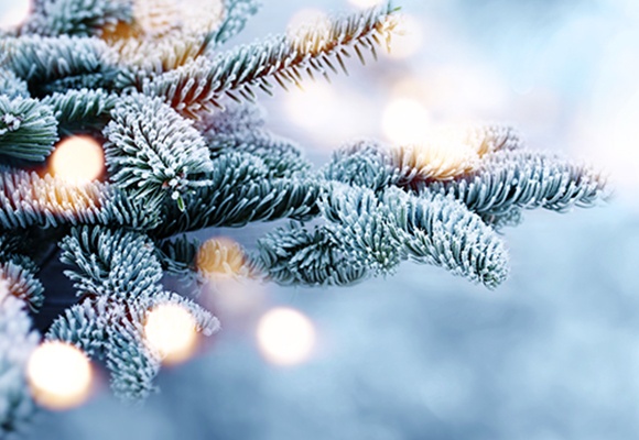 Links und rechts sind Tannenzweige, die mit Frost bedeckt sind. Der Hintergrund is flimmernd weiß.