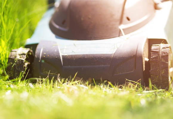 Ein schwarzer Rasenmäher steht auf gemähtem Rasen. Rechts von ihm ist das Gras bereits kurz, links von ihm ist es noch hoch und muss gekürzt werden.