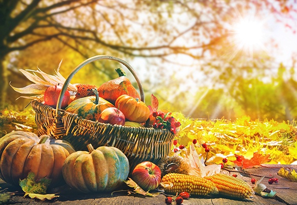 In gelben Blättern, die auf dem Boden im Wald liegen, steht ein geflochtenes Körbchen gefüllt mit Kürbissen, Äpfeln und Mais.