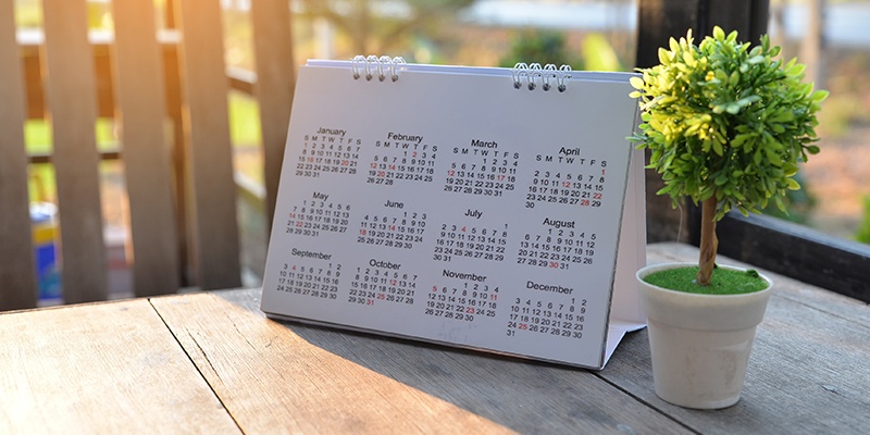 Ein Kalender, auf dessen Blatt alle Monate und Tage aufgelistet sind, steht draußen auf einem Tisch, neben einer unechten Minipflanze.