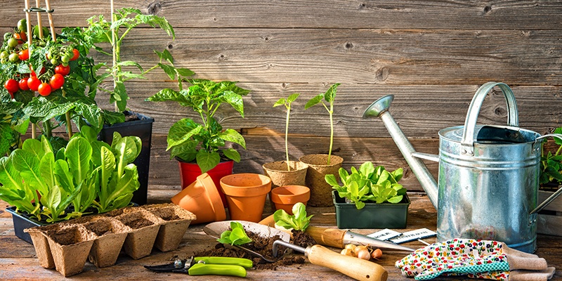Auf Holz stehen Pflanzentöpfe, eine silberne Gießkanne, sowie verschiedene Topfkräuter.