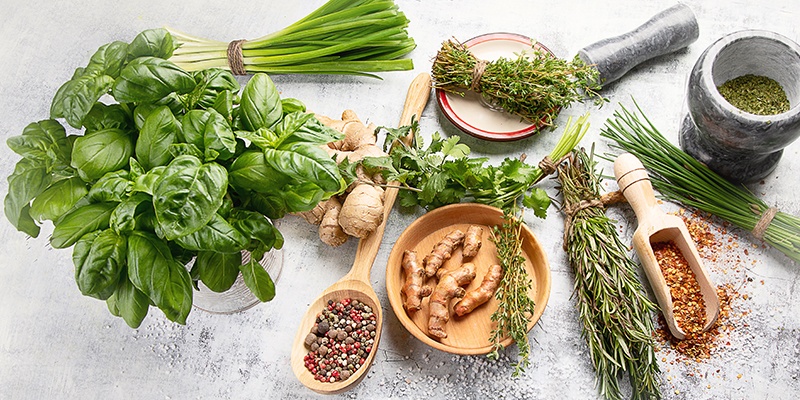 Verschiedene Gewürze wie Basilikum, Kren, Petersilie und Schnittlauch liegen unverarbeitet auf einer grauen Unterlage.