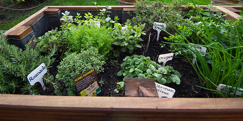 Viele Kräuter sind in einem großen Beet untergebracht und mit kleinen Schildchen mit Handschrift markiert: Rosmarin, Oregano, Bohnenkraut usw.