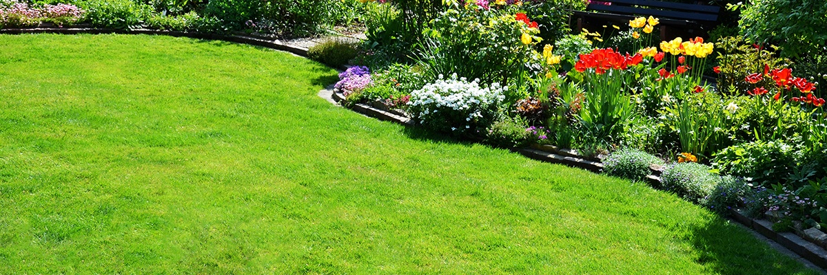 Ein sehr gepflegter Gartenabschnitt mit dichtem Rasen, das angrenzende Beet ist bunt und gut gefüllt bepflanzt. 