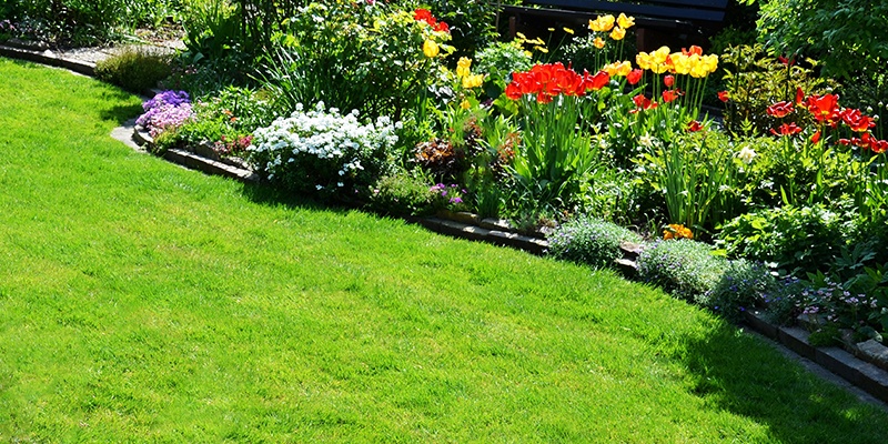 Ein sehr gepflegter Gartenabschnitt mit dichtem Rasen, das angrenzende Beet ist bunt und gut gefüllt bepflanzt. 