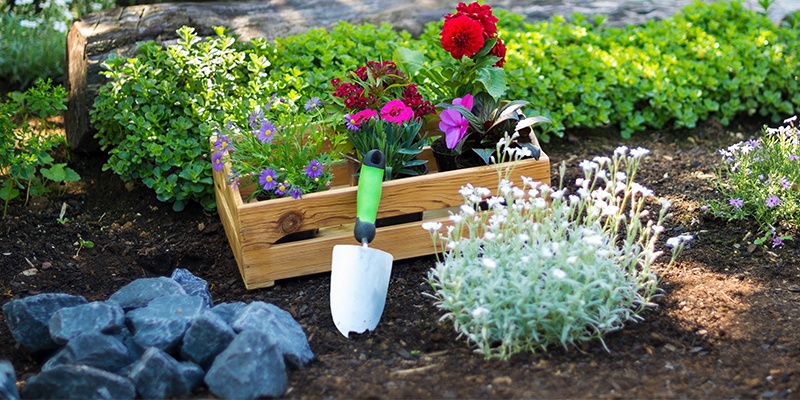 In einem Beet wachsen bunte Pflanzen und Kräuter, in der Mitte steht eine kleine Holzkiste mit weiteren Pflanzen in Töpfen.