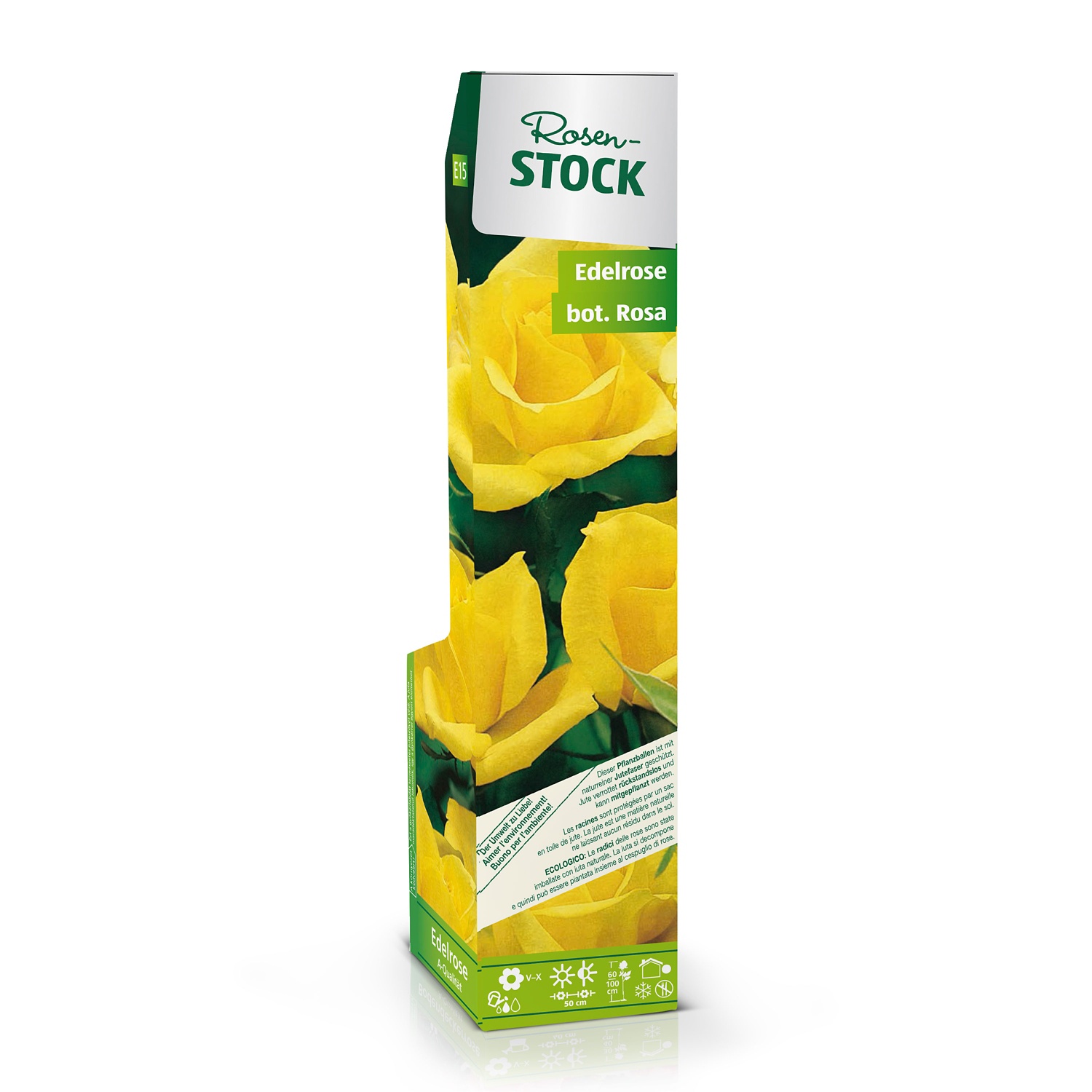 Rosenstock, Edelrosen