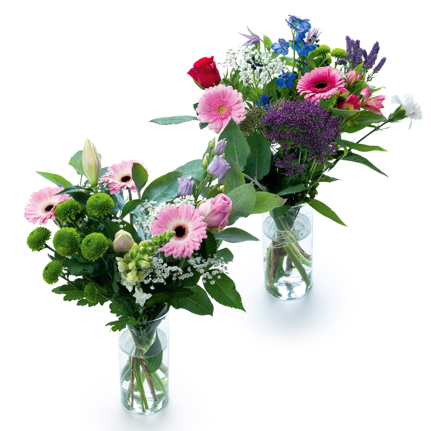 Exklusiver Blumenstrauß „Weltfrauentag“ HOFER