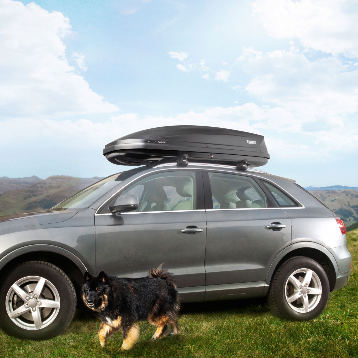 THULE Dachbox dauerhaft günstig kaufen