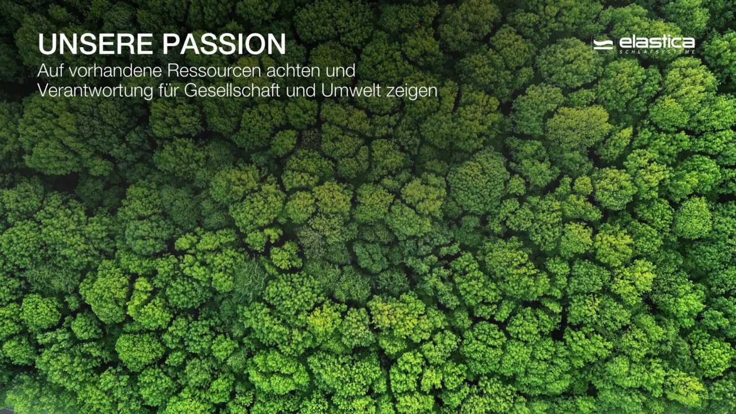 ELASTICA Matratze Alpaverde