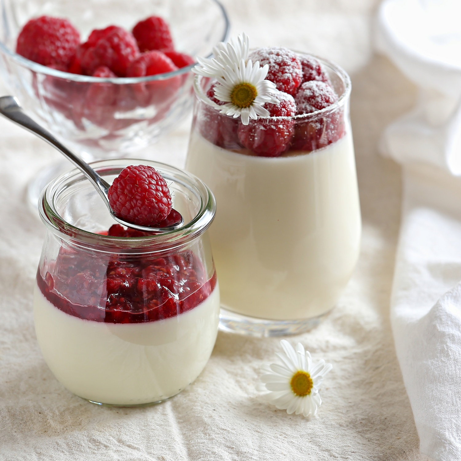 Panna Cotta mit ObstSpiegel ALDI Rezeptwelt