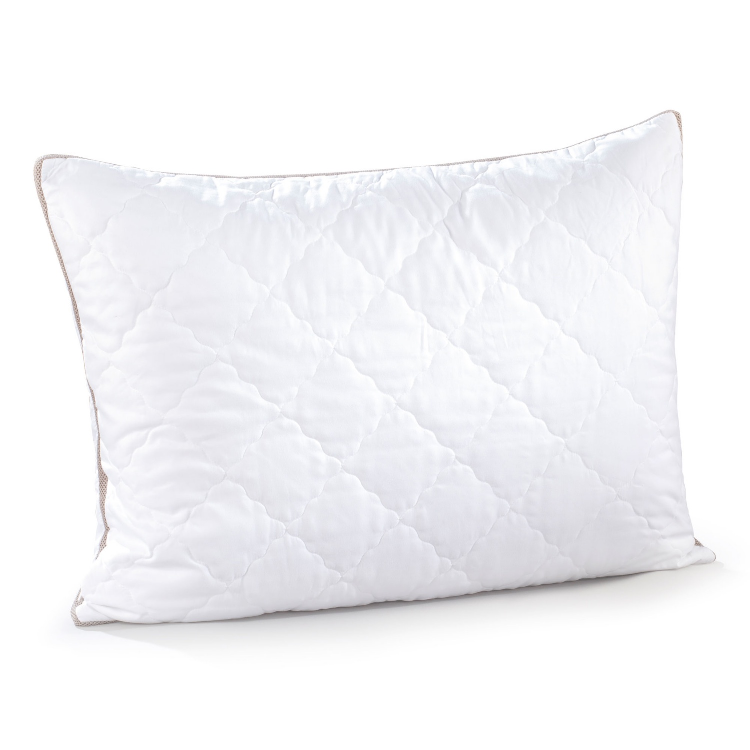 MY LIVING STYLE Polster SILVERPLUS®