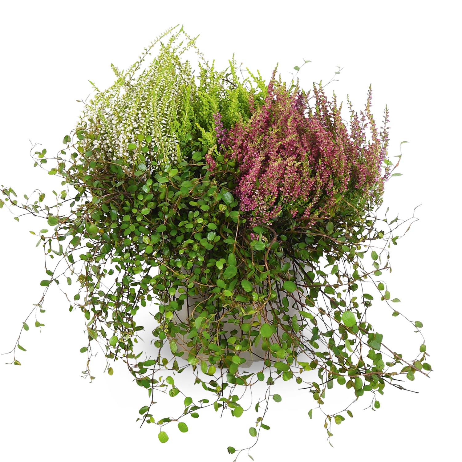 Heidemix