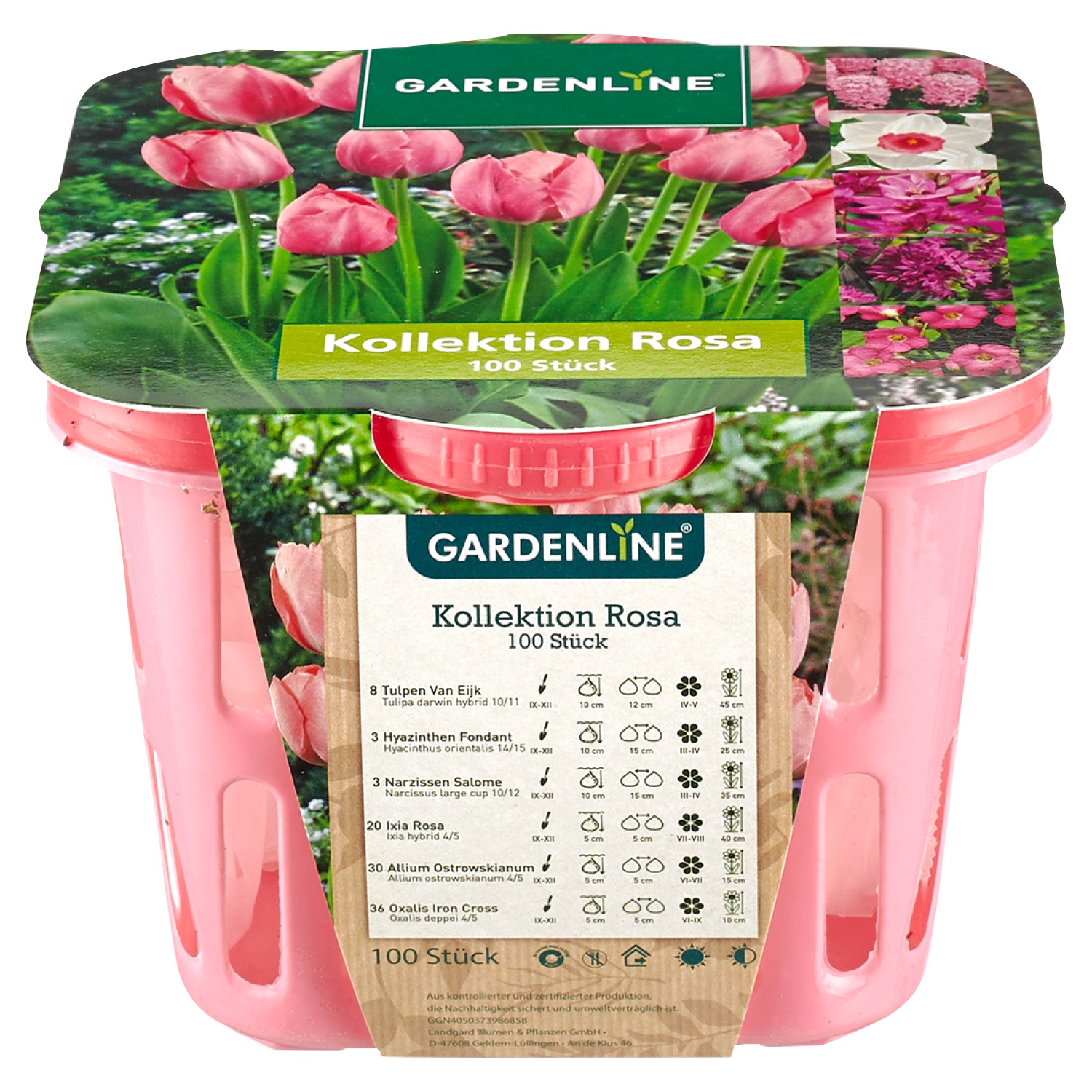 GARDENLINE® Blumenzwiebeln | ALDI SÜD