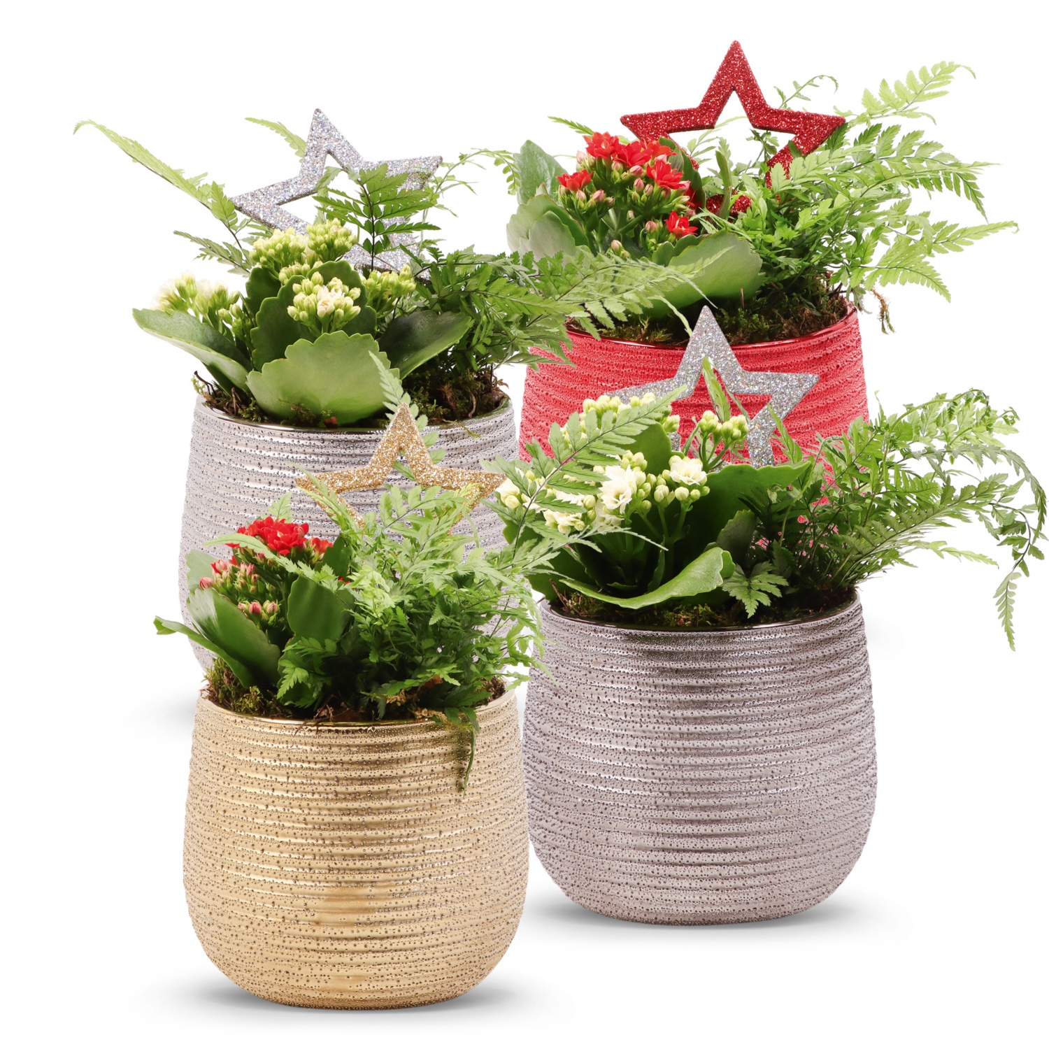 Weihnachtsarrangement