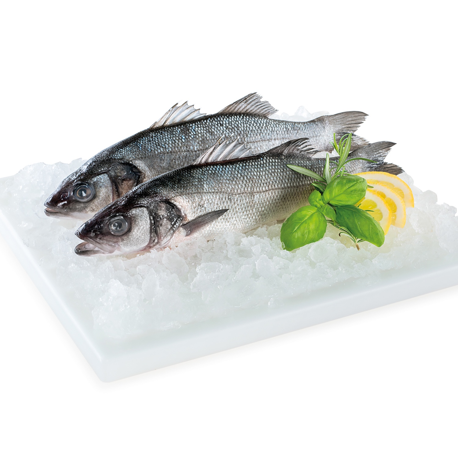 ALMARE SEAFOOD Wolfsbarsch