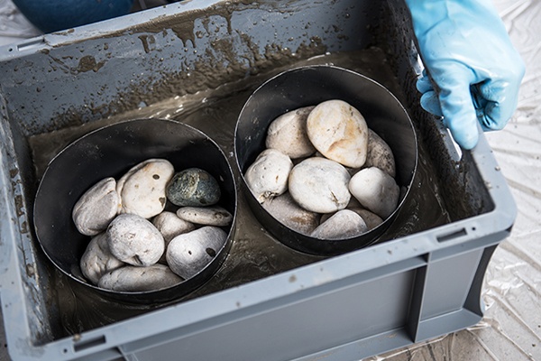 Die Betonmasse trocknen lassen und später aus der Form nehmen 