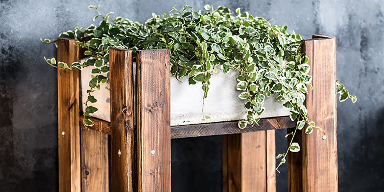 DIY-Pflanzentöpfe für drinnen und draußen aus Holz und Beton zum Nachmachen