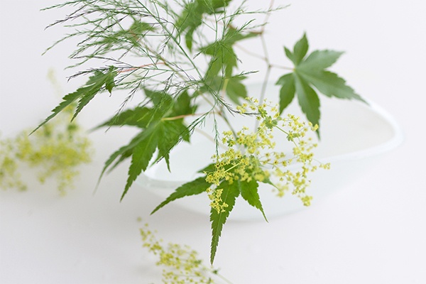 Blumenarrangement im Ikebana-Stil zum Nachmachen