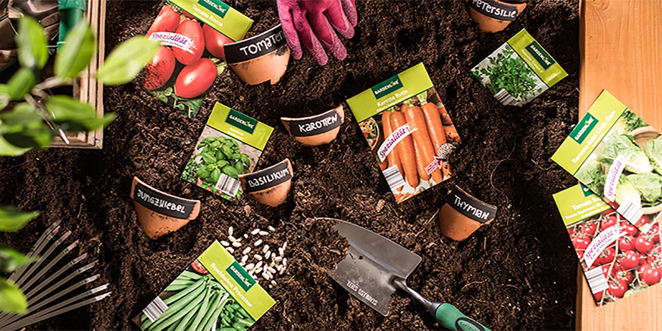 Große Auswahl an Gemüsesamen, verteilt im Beet mit dem passenden Werkzeug zum Gärtnern  