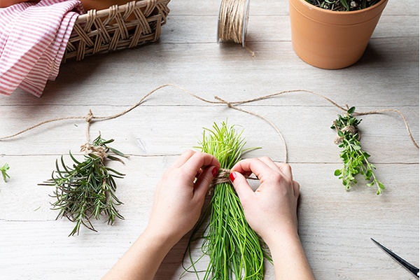 Kräuter zum richtigen Zeitpunkt ernten und im Glas aufbewahren