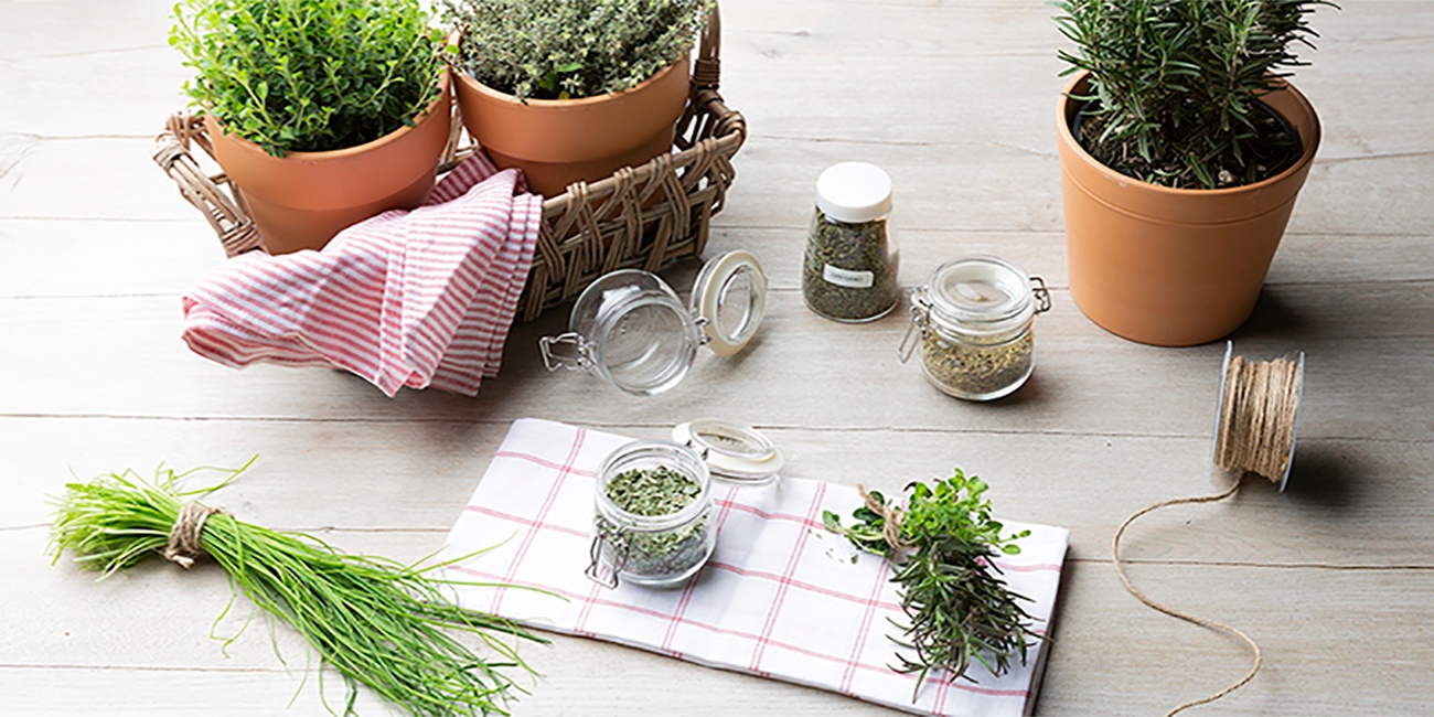 Kräuter trocknen leicht gemacht