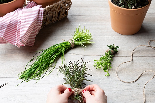 Die Kräutersorten einzeln in einem Bündel trocknen