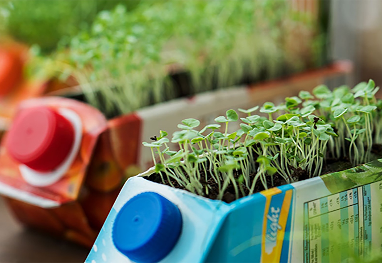Upcycling-Idee für den Garten: Kräuterbeet aus Tetra Pak