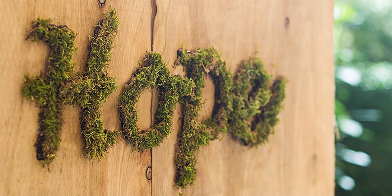 “Hope“ geschrieben im stylischen Gartentrend Moos-Graffiti