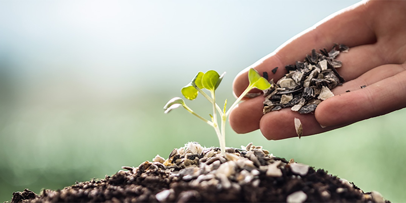 Grünes zum Blühen bringen mit Ideen von MEIN HOFER 