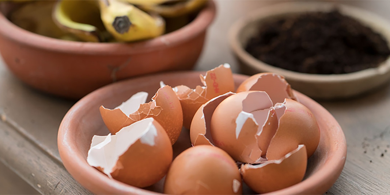 Selbstgemachter Dünger aus Bio-Müll wie Eiern, Bananen oder Kaffeesatz