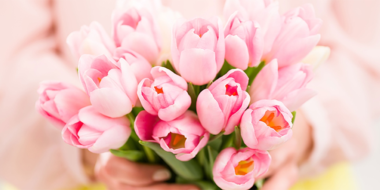 Frische Tulpen - so halten Schnittblumen länger frisch