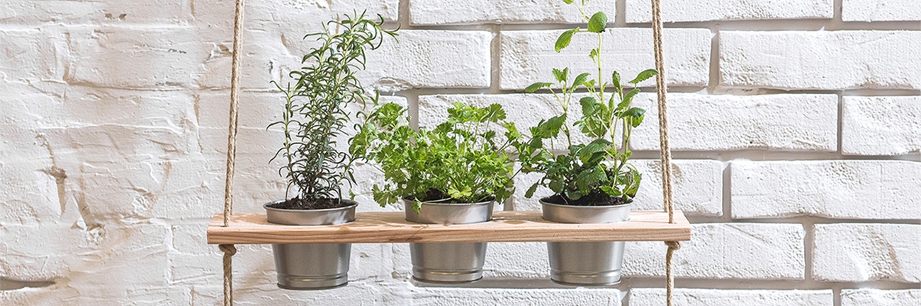 Kräutergarten als Regal aus Holz und Kräutertöpfen für drinnen und draußen 