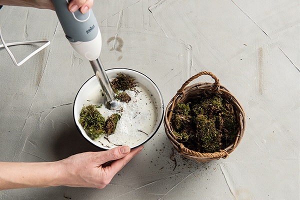 Alle Zutaten für das Moos-Graffiti mit einem Stabmixer zerkleinern