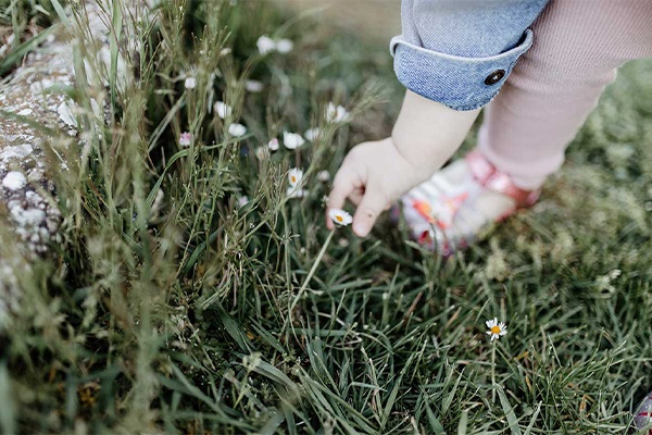 Kleinkindern die Gartenarbeit spielerisch beibringen