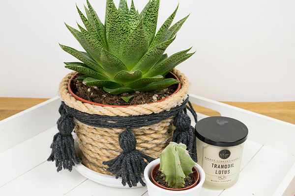 Blumentopf mit Kordeln