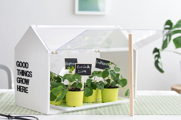 DIY- Individuell beschriftetes Mini Gewächshaus von der Seite mit geöffnetem Glas