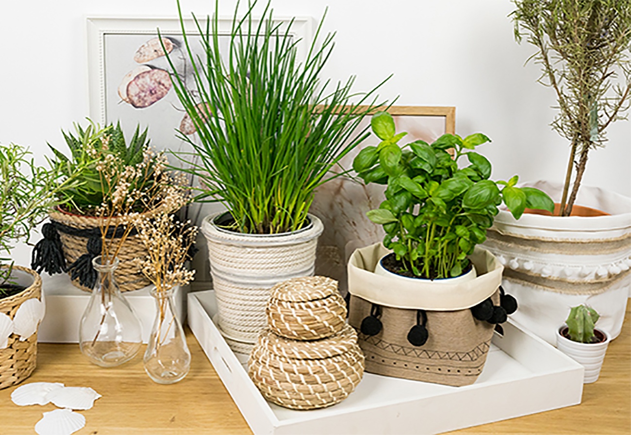 Blumentöpfe in richtige Hingucker verwandeln und damit den Balkon oder Garten dekorieren