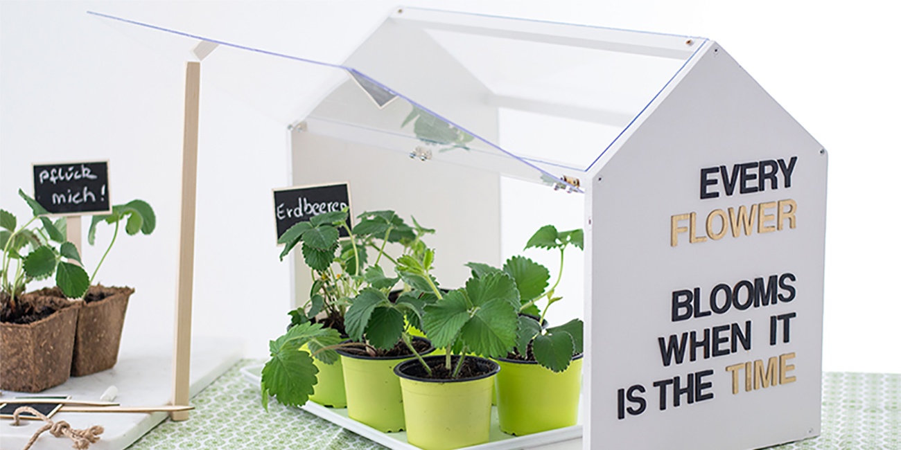 DIY Mini-Gewächshaus mit Plastiktöpfen selbst gemacht