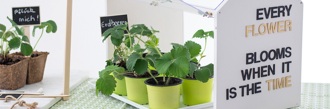 DIY Mini-Gewächshaus mit Plastiktöpfen selbst gemacht