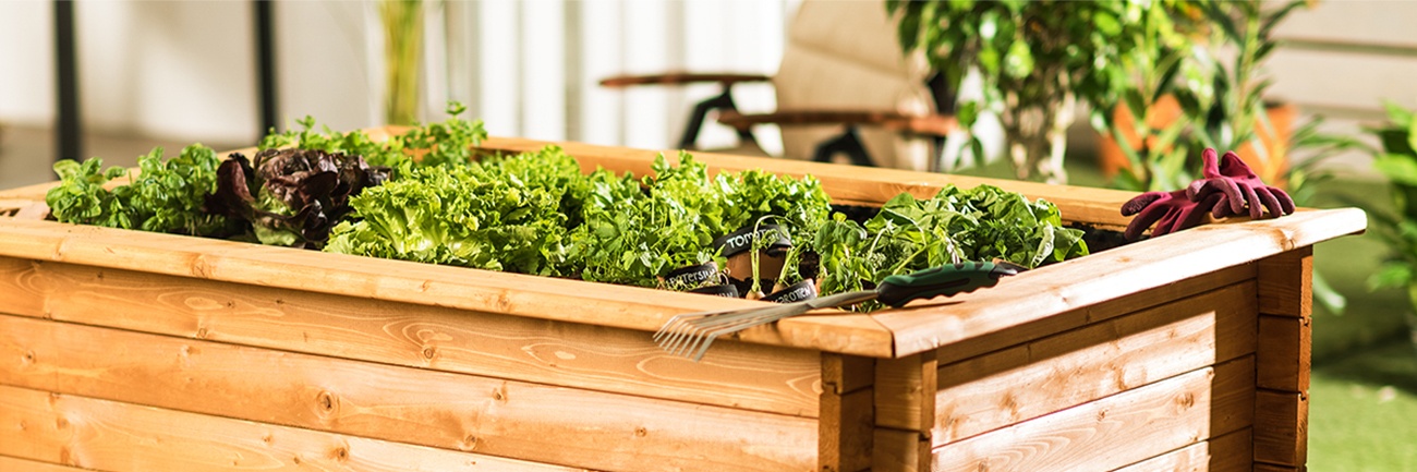 Das perfekte Hochbeet