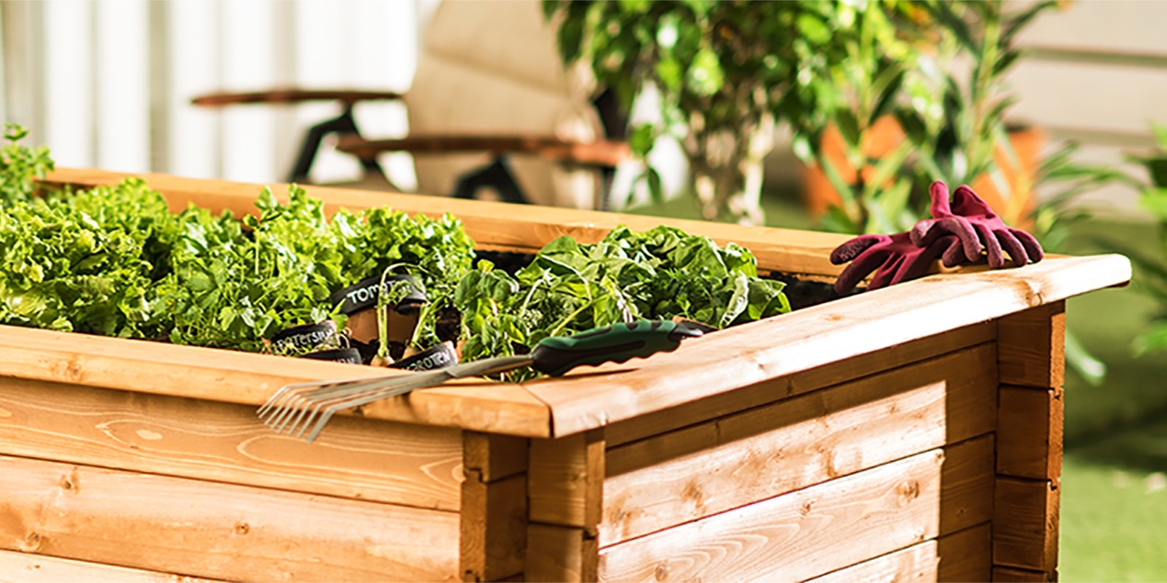 Das perfekte Hochbeet