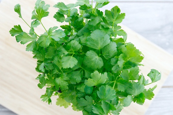 Topf mit Petersilie auf einem Brett 