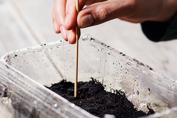 Mit einem Holzstäbchen Löcher in die Erde bringen 