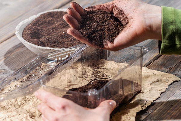 Utensilien, um Pflanzen erfolgreich anzusetzen