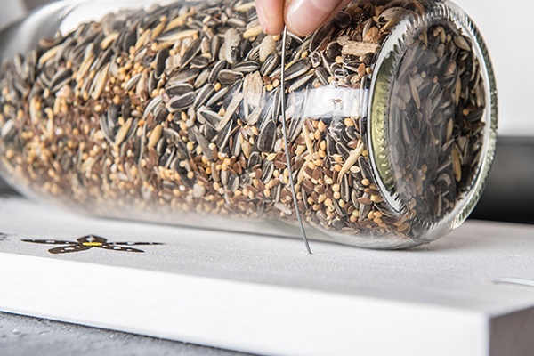 Flasche mit Vogelfutter am Vogelhaus befestigen