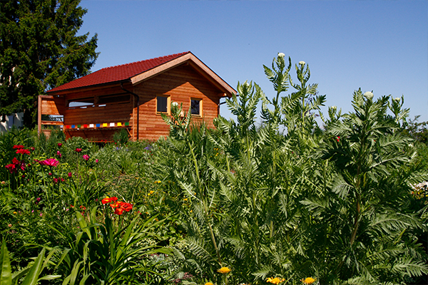 Bienenhotel von HOFER in Sattledt