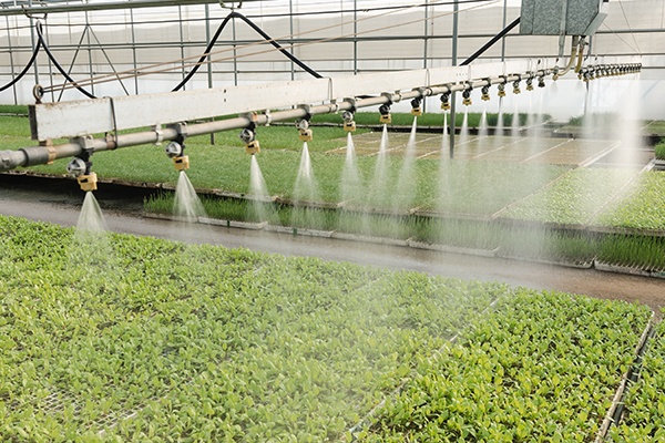 Wasser Sparen Natur Bewahren Hofer