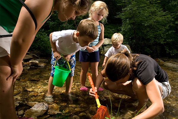 Kinder und Erwachsene entdecken Flora und Fauna in einem Bach